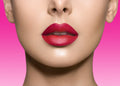 The Reds & Berries Velvety Matte Lipsticks